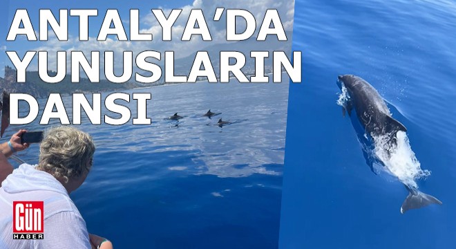 Antalya da yunusların dansı