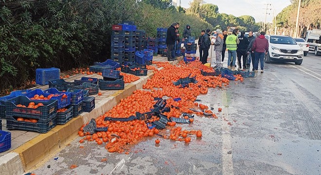Antalya daki kazada domatesler yola saçıldı