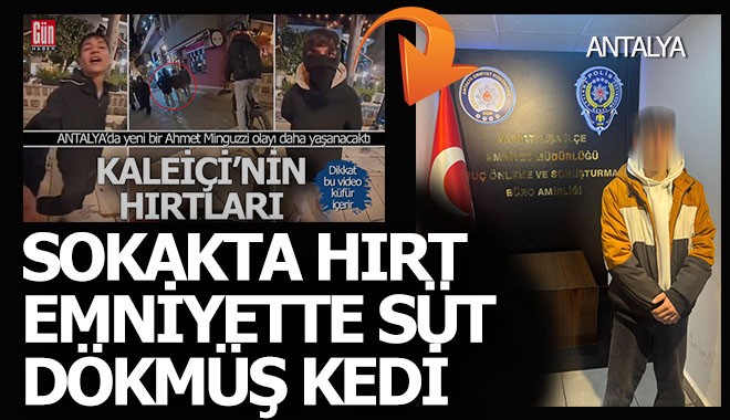 Antalya'daki o hırt yakalandı... Sokakta hırt, emniyette süt dökmüş kedi gibi...