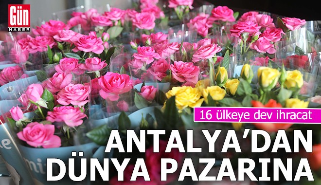 Antalya'dan 16 ülkeye çiçek ihracatı