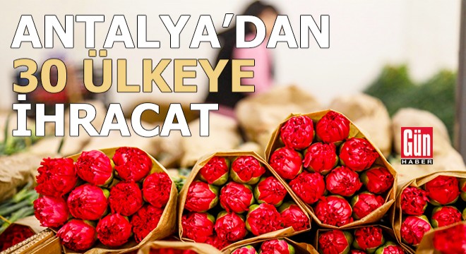 Antalya dan 30 ülkeye 75 milyon dal çiçek ihracatı