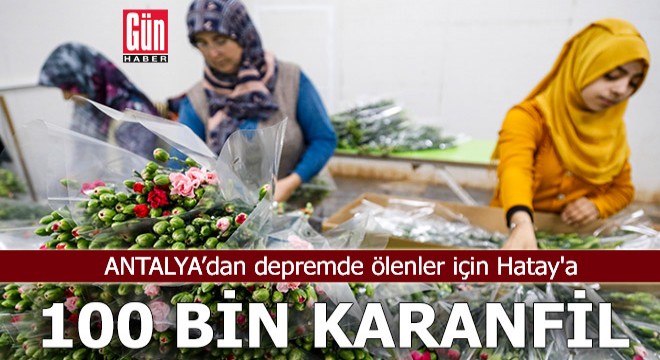 Antalya dan Hatay a 100 bin karanfil