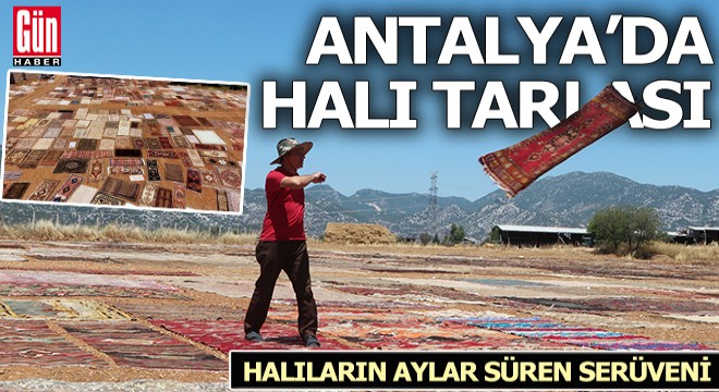 Antalya güneşiyle değeri artan tarihi halılar, koleksiyonerlerin gözdesi