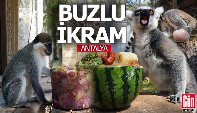 Antalya'nın Doğal Yaşam Parkı'nda buzlu meyve kokteyli