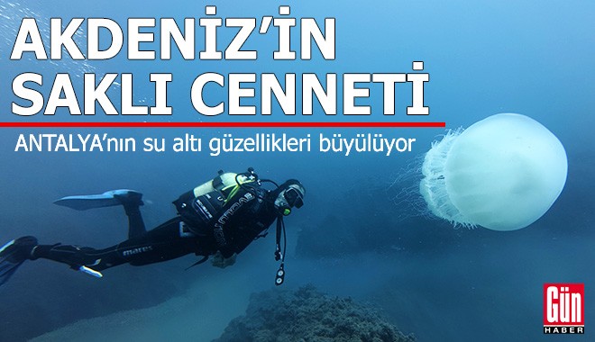 Antalya'nın su altı güzellikleri büyülüyor