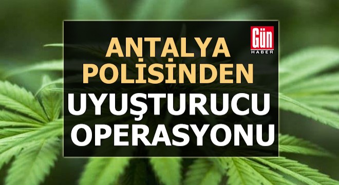 Antalya polisinden uyuşturucu operasyonu
