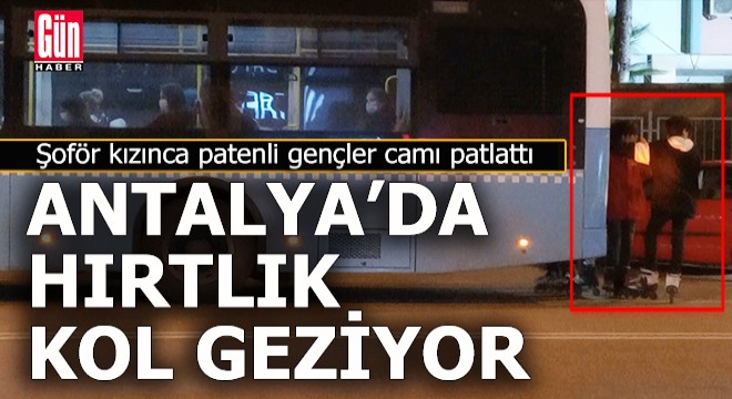 Antalya sokaklarında  Hırtlık  kol geziyor