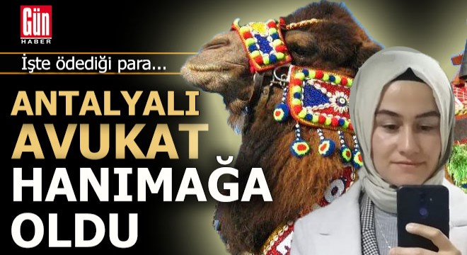 Antalyalı avukat deve güreşinde hanımağa oldu