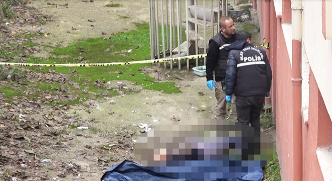 Apartmanın arka bahçesinde ölü bulundu