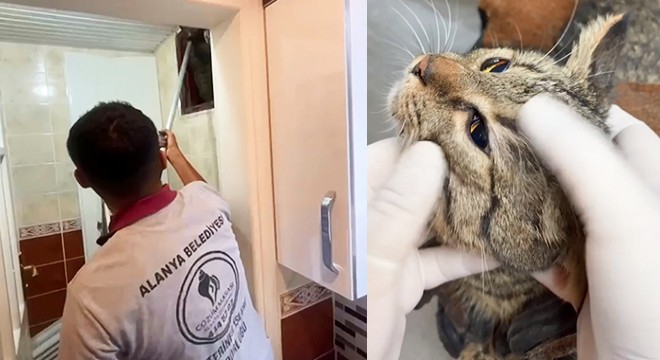 Apartmanın havalandırma bacasına düşen kedi kurtarıldı