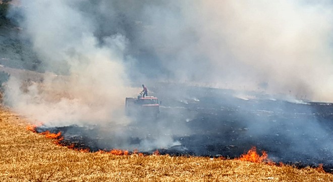 Arazi yangını büyümeden söndürüldü