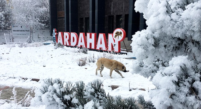 Ardahan eksi 14,8 ile dondu