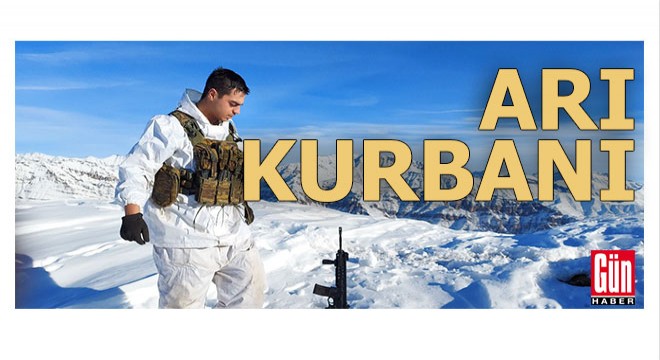 Arının soktuğu uzman çavuş hayatını kaybetti