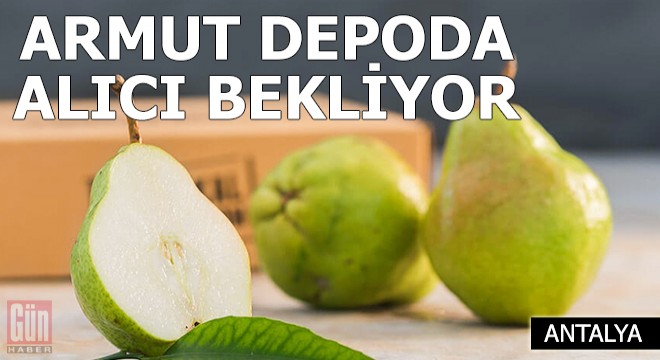 Armut depoda alıcı bekliyor