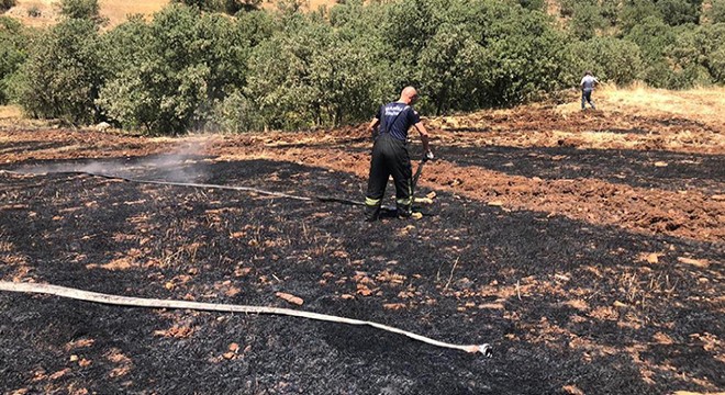 Arpa tarlası yangını; 20 dönüm alan zarar gördü