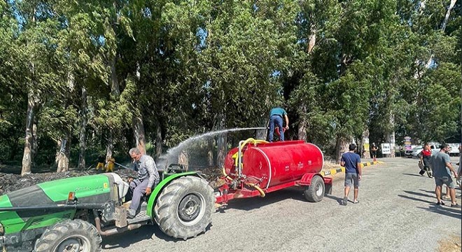 Aşıklar Yolu'ndaki okaliptüs ağaçları yanmaktan kurtarıldı