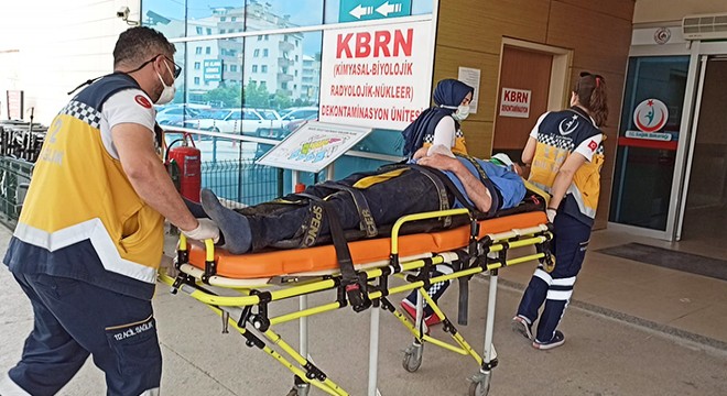 Asma ağacından düşerek yaralandı