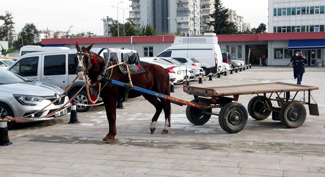 At arabalı seyyar torbacılar yakalandı