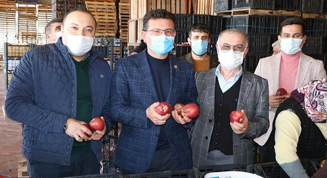 Atay Uslu Elmalı'da