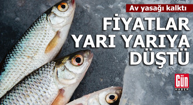 Av yasağı kalktı, tezgahta fiyatlar yarı yarıya düştü