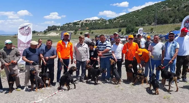 Av köpekleri Burdur da yarıştırıldı