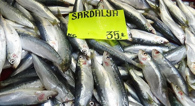 Av yasağına rağmen Çanakkale de balık tezgahları doldu