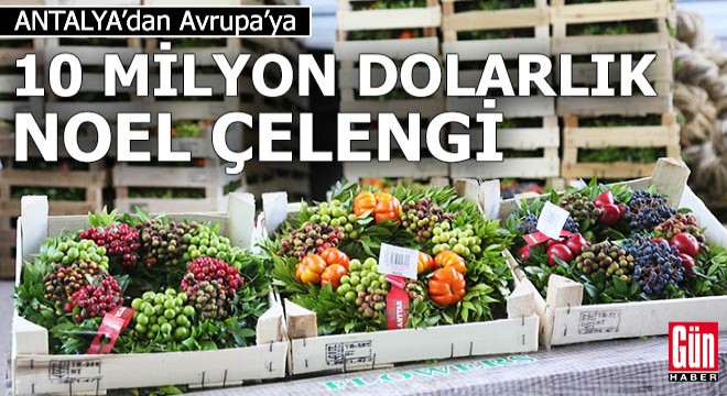 Avrupa'ya 10 milyon dolarlık Noel çelengi