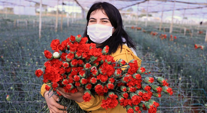 Avrupalı sevgililerin çiçekleri Antalya dan