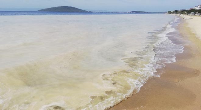 Avşa Adası kıyılarını deniz salyası kapladı