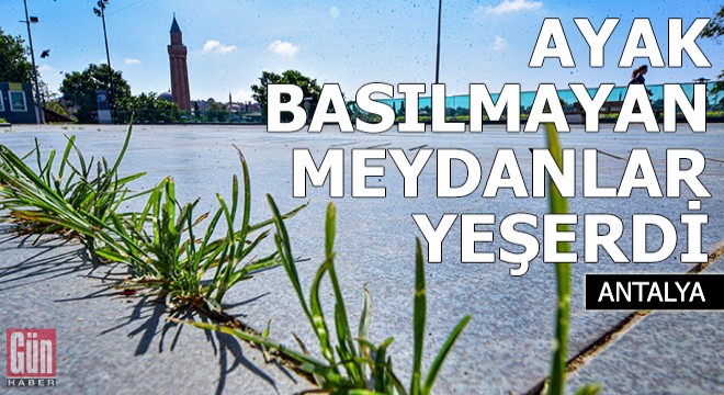Ayak basılmayan meydanlar yeşerdi