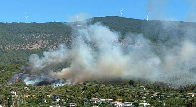 Aydın'da orman yangını