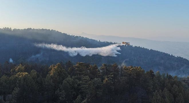 Aydın'daki orman yangını 2'nci gününde