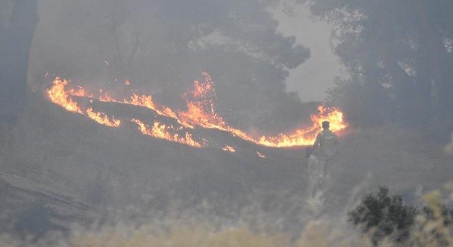 Aydın'daki orman yangınına müdahale sürüyor