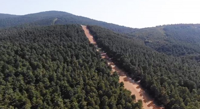 Aydos Ormanı'nda havadan denetim