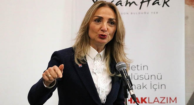 Aylin Nazlıaka: Şiddet eşitsizlikten besleniyor