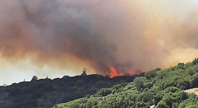 Aynı bölgede son bir ayda 10'uncu orman yangını