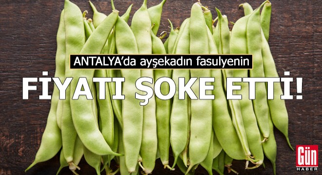 Ayşekadın fasulyenin fiyatı şoke etti