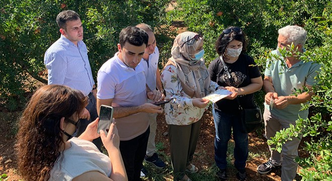 Azerbaycan'dan Serik'e ziyaret