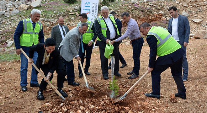 BAİB, mermer ocağını rehabilite ederek, ağaçlandırdı