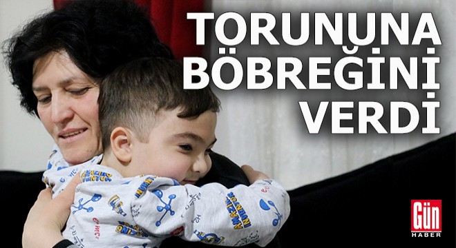 Babaanneden toruna böbrek