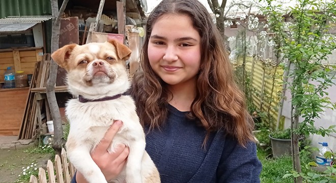 Bahçedeki iki köpeklerinden biri çalındı; o anlar kamerada