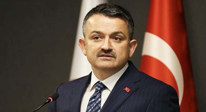 Bakan Pakdemirli: Muğla ve Aydın yangınları kontrol altında