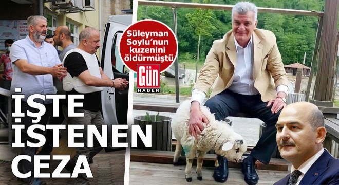 Bakan Soylu nun kuzenini öldüren sanığa istenen ceza belli oldu