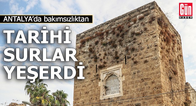 Bakımsızlık tarihi surları 'yeşertti'