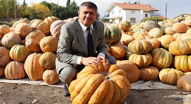 Bal kabağında hedef 3 bin ton rekolte