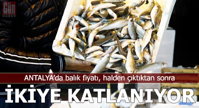 Balık fiyatı, halden çıktıktan sonra ikiye katlanıyor