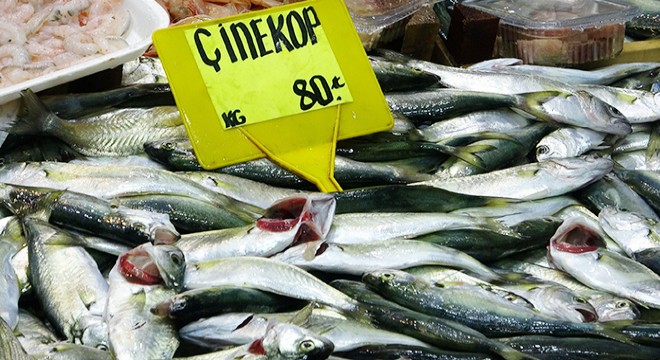 Balık tezgahları bu kez çinekopla doldu