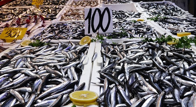 Balık tezgahlarında hamsi bolluğu