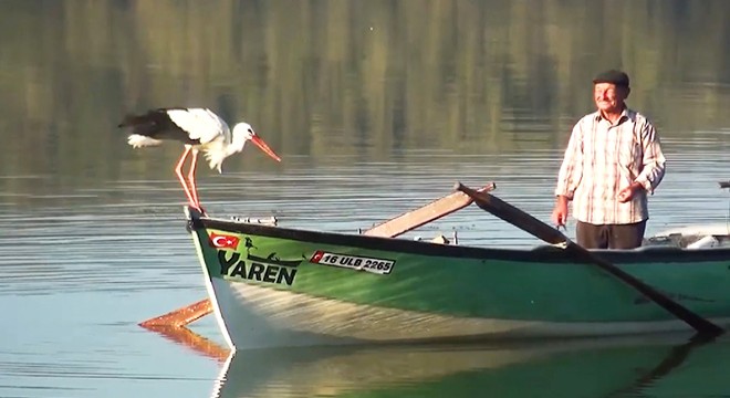 Balıkçı ile Yaren leyleğin dostluğu, şarkı ve klibe de konu oldu