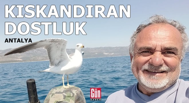 Balıkçı ile martının kıskandıran dostluğu